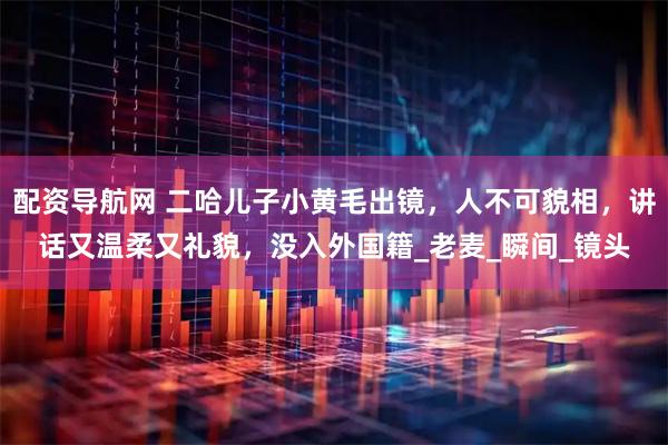 配资导航网 二哈儿子小黄毛出镜，人不可貌相，讲话又温柔又礼貌，没入外国籍_老麦_瞬间_镜头
